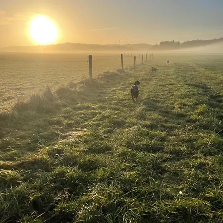 Petermaennchen Westerburg (Rhineland-Palatinate)