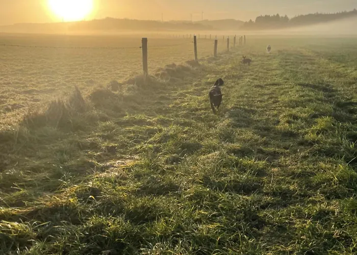 Petermaennchen Westerburg (Rhineland-Palatinate)